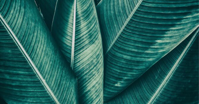 Founder’s Pricing for a Limited Time—Elevate Your Experience!!! image