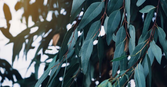 Refresh Your Skin & Save. Enjoy $50 OFF all Facial Services $150+ SPEND image